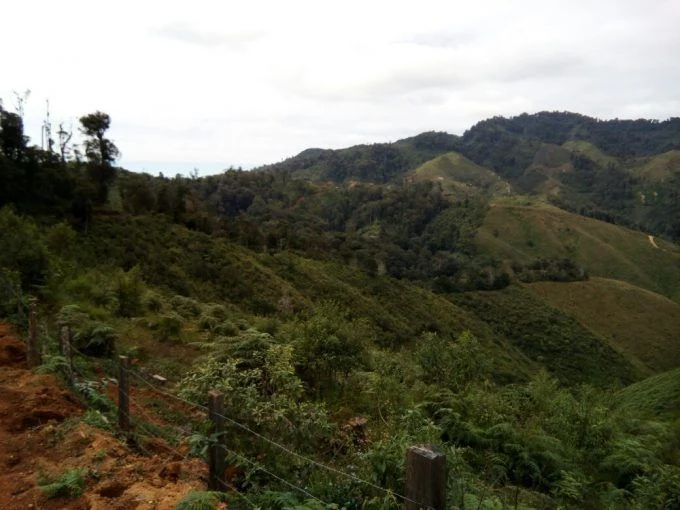 se vende terreno rural en jutiapa 200 manzanas en el valle de jamastran