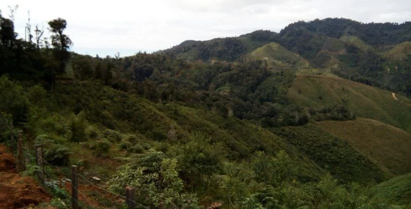 200 manzanas en jutiapa jamastran