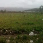 baratillos