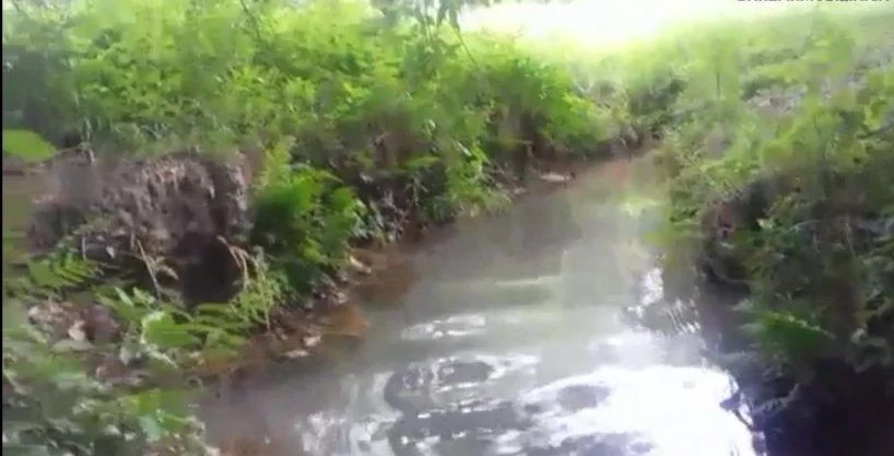 Se venden 34 manzanas en el valle de jamastran