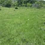en danli solar