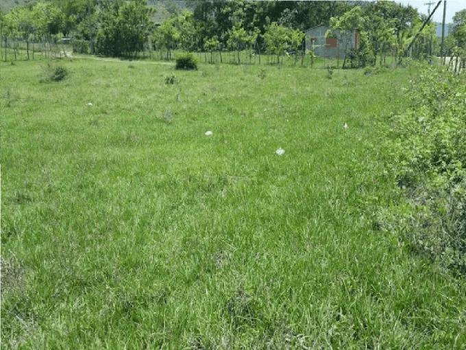 en danli solar