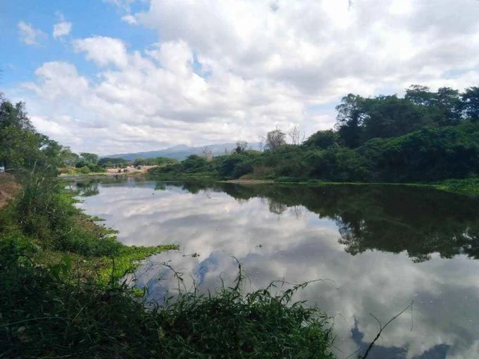 65 manzanas en el valle de jamastran danli el paraiso