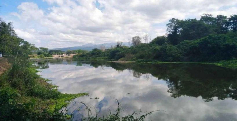 65 manzanas en el valle de jamastran danli el paraiso