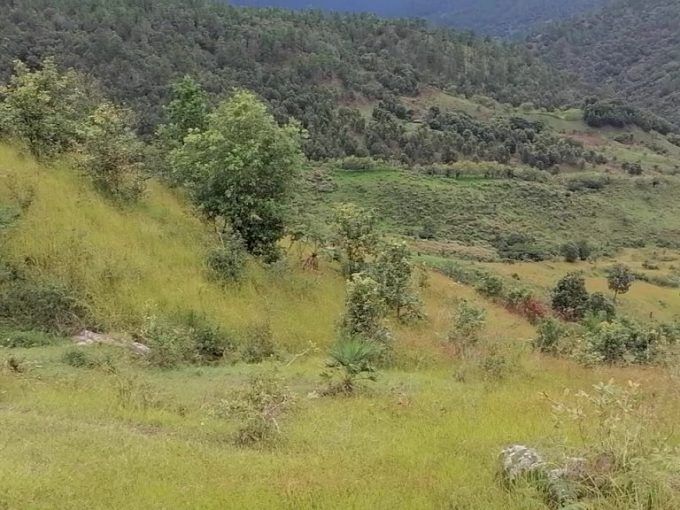 180 manzanas en aldea la batea danli el paraiso