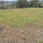 Se venden10 solares de 20x20 varas en aldea el tablon