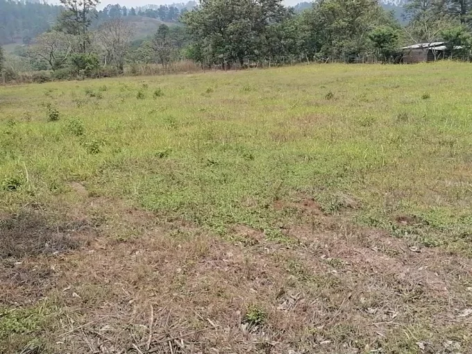 Se venden10 solares de 20×20 varas en aldea el tablon