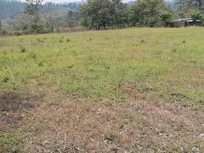 Se venden10 solares de 20x20 varas en aldea el tablon
