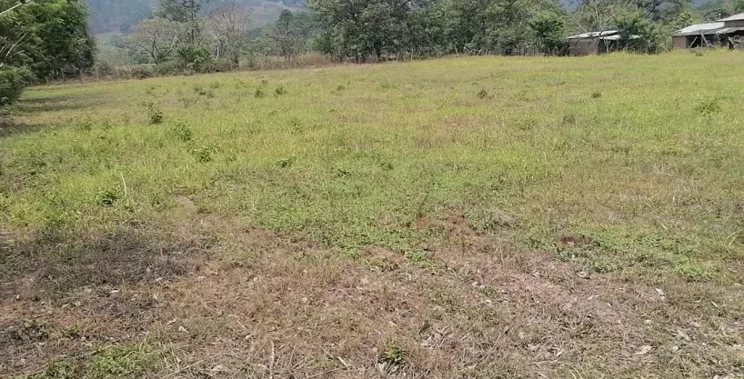 Se venden10 solares de 20x20 varas en aldea el tablon
